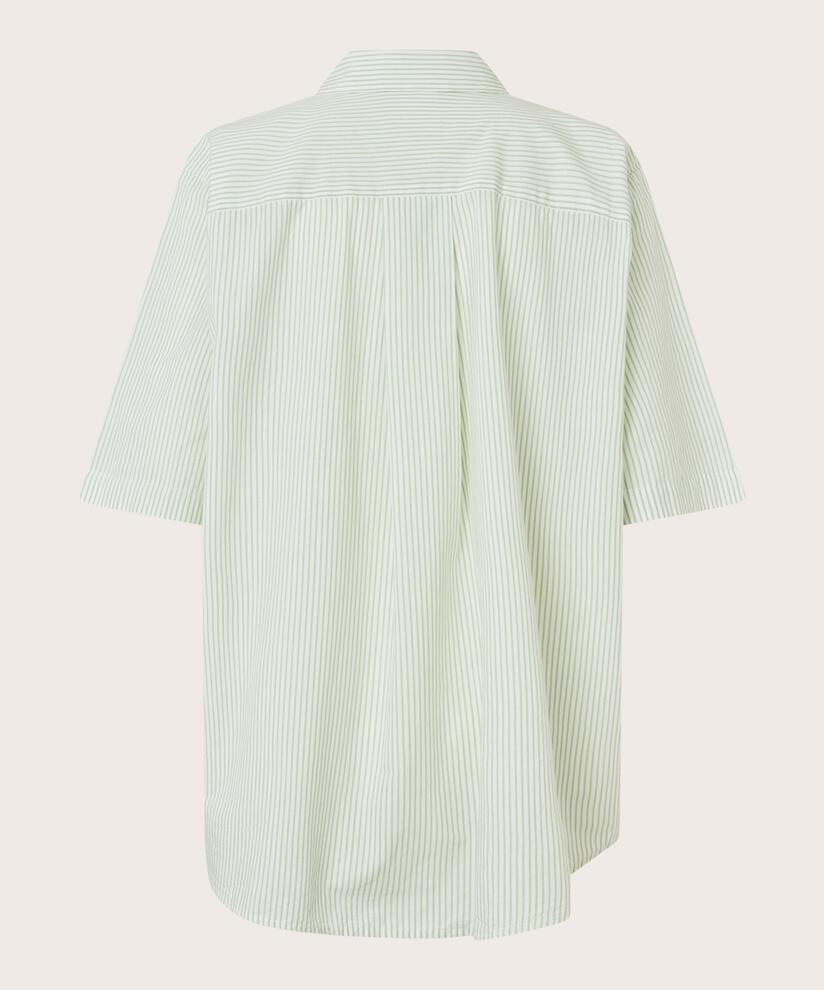 chemise en coton rayé avec broderie, Frosty Green