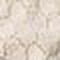 Whitecap