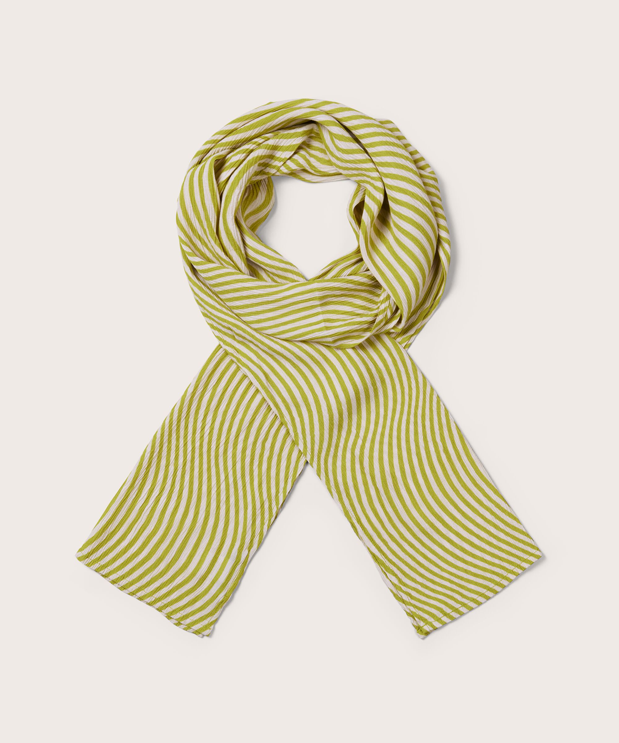 Along Scarf, Lentil Sprout