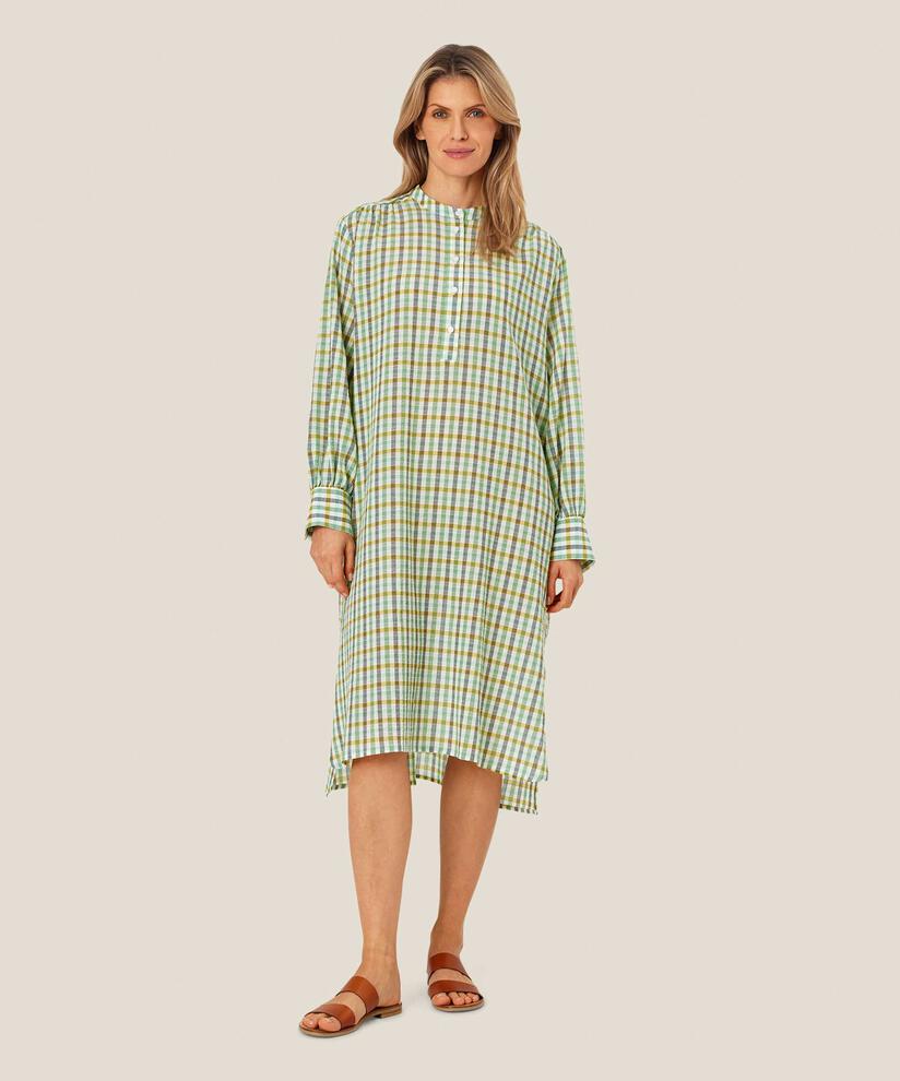 Robe en coton à carreaux avec col rond et patte de boutonnage, D. Grass Green