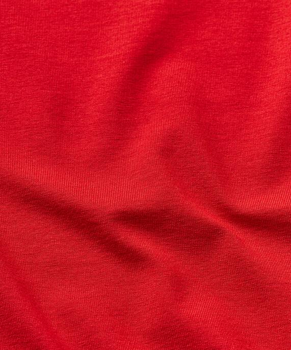 Top En Jersey Á Col Rond, Scarlet Sage